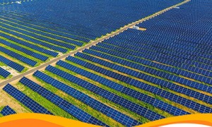 Промышленная СЭС запущена в Николаевской области