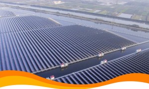 В Китае водохранилища для разведения рыб совместили с плавучими солнечными станциями