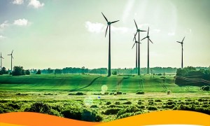 Заработок киевских владельцев СЭС за 2019 год составил более 6 миллионов гривен дохода