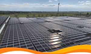 В Нидерландах начала работу солнечная электростанция на пивоваренном заводе Sol