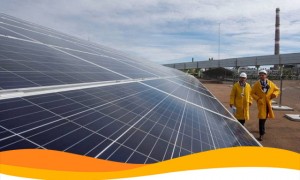 В Харьковской области начала работу солнечная электростанция мощностью 1 МВт