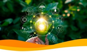 Реструктуризация «зеленых» тарифов для владельцев СЭС: что нужно знать