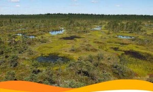 В Финляндии солнечная станция на 500 МВт будет возведена на заброшенных торфяниках