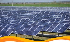 На Харьковщине введена в эксплуатацию промышленная солнечная станция на 1 МВт