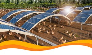 Goldbeck Solar представил солнечную арку MarcS