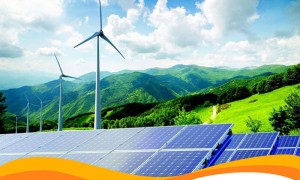 Биоэнергетика поможет уменьшить энергозависимость украинцев