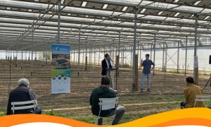 Фотоэлектрическая теплица — источник чистой электрики и хорошего урожая