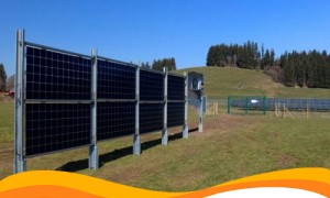 Вертикальные агровольтаические системы устанавливают в Германии