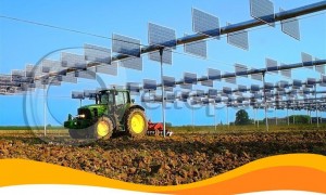 Агровольтаика: будущее мирового фермерства Агровольтаика: будущее мирового фермерства