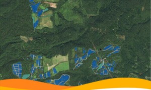 Солнечная электростанция на 100 МВт будет построена в Японии