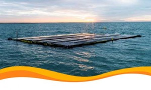 В Бельгии будет возведена плавучая солнечная станция