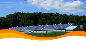 Более 3000 хорватских зданий будет оснащено солнечными панелями