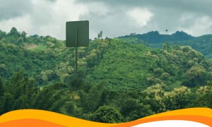 Передача электроэнергии без проводов возможна!