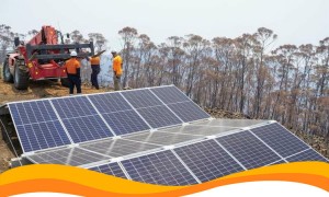 Миллиардер закупил солнечных панелей на 12 миллионов долларов