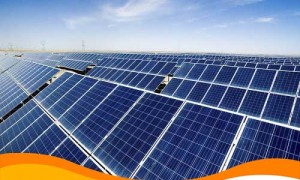 Доказано положительное влияние солнечных станций на экологию