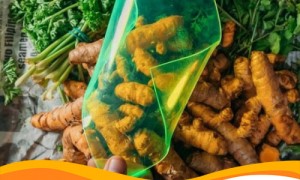 Фотоэлементы можно делать из… остатков пищи!