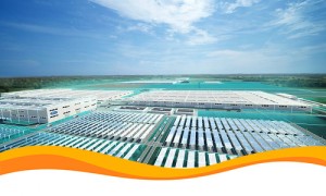 Корпорация Ford полностью переходит на производство электромобилей