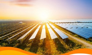 В Украине работает пивоварня на солнечной энергии