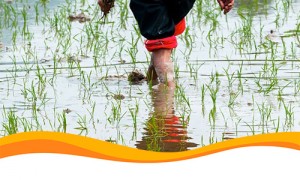 Американский фонд Breakthrough Energy инвестирует средства в экологические проекты