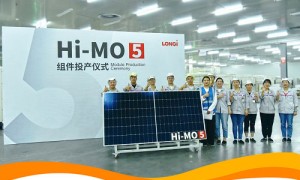 За год продажи фотомодулей LONGI серии HI-MO 4 перешли отметку в 10 ГВт