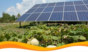 Необычные источники чистой энергии