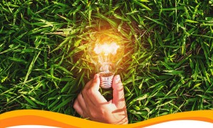 Дизайнерские солнечные панели для обшивки фасада и кровли уже в продаже!