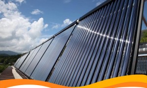 Трубчатые солнечные батареи от Tube Solar будут использоваться в агрофотовольтаике