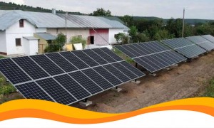 К изготовлению «зеленого» пива приступают в Мексике