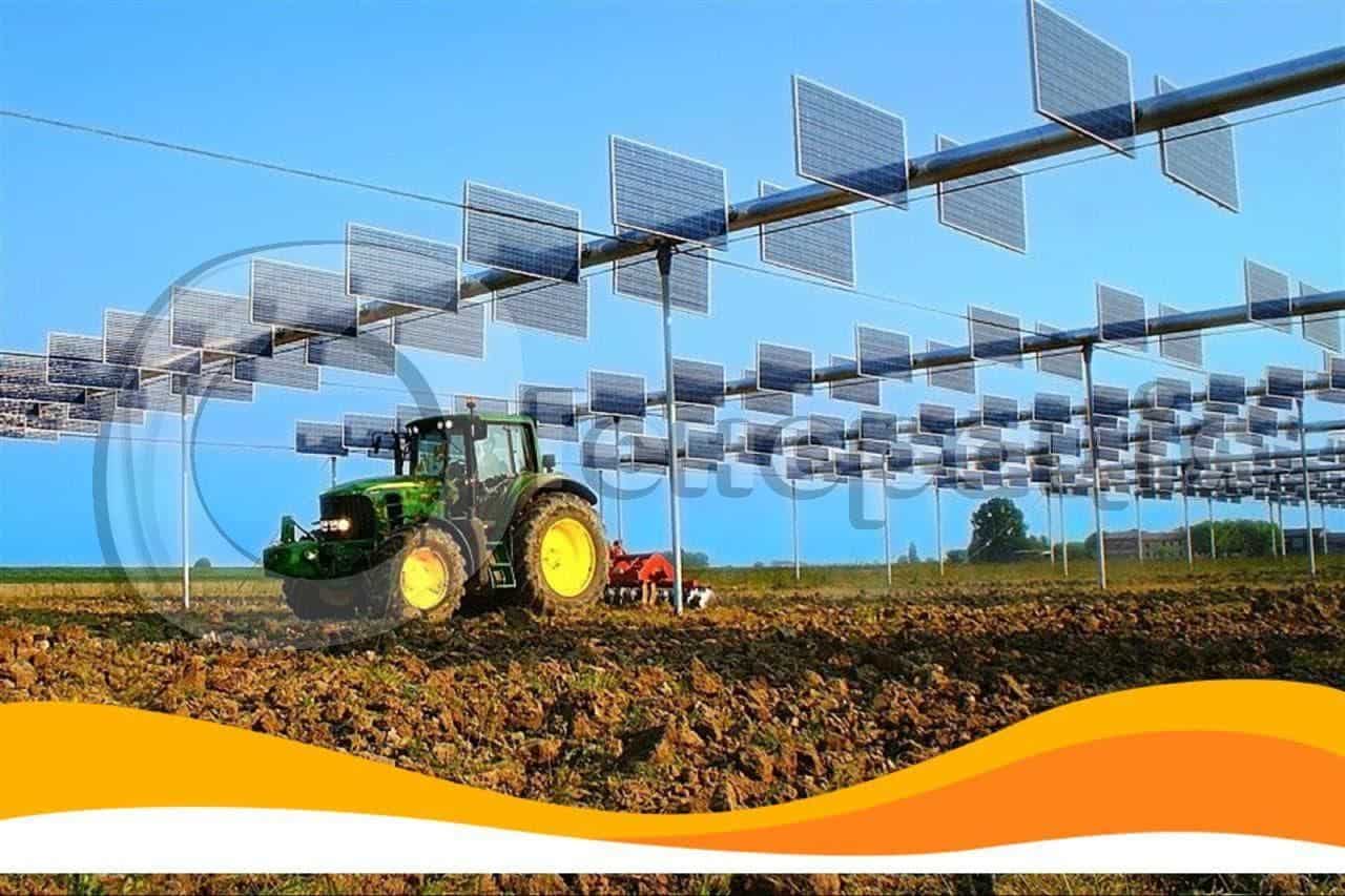 Агровольтаїка: майбутнє світового фермерства