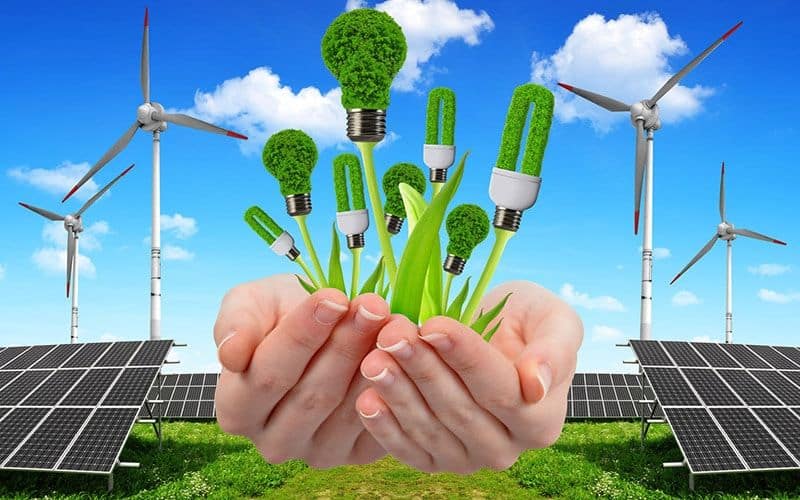 Производители «зеленой» энергии предупреждают о возможной экологической катастрофе