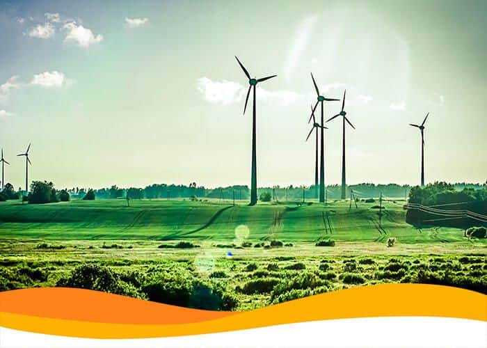 Заработок киевских владельцев СЭС за 2019 год составил более 6 миллионов гривен дохода