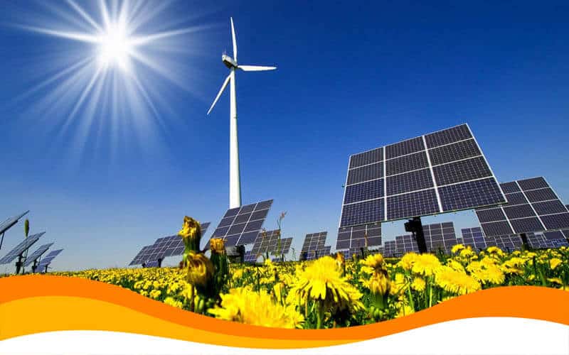 Для производства чистой энергии они установили на своих участках солнечные панели суммарной мощностью более 550 000 кВт