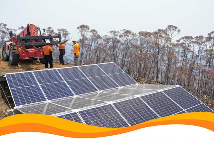 Миллиардер закупил солнечных панелей на 12 миллионов долларов