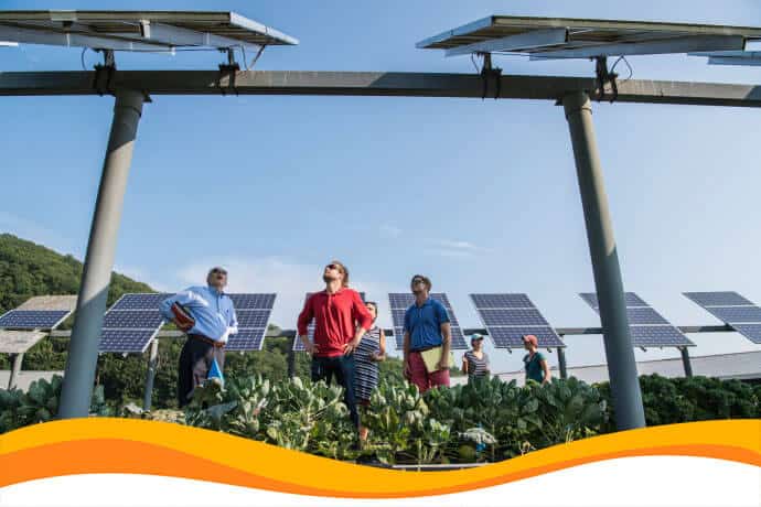 Промышленную солнечную электростанцию 2МВт установят над овощным полем на Харьковщине