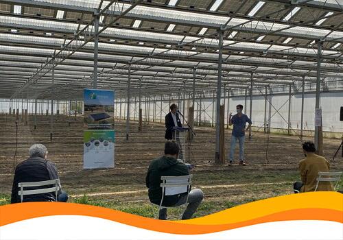 Фотоелектрична теплиця — джерело чистої електрики та гарного врожаю