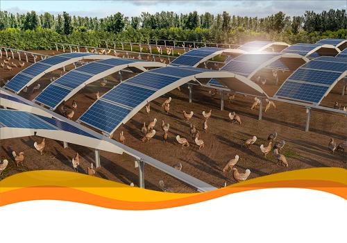 Goldbeck Solar представив сонячну арку MarcS