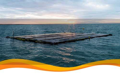 В Бельгии будет возведена плавучая солнечная станция