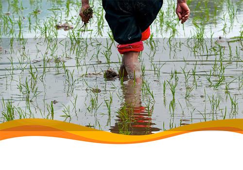 Американський фонд Breakthrough Energy інвестує кошти в екологічні проекти